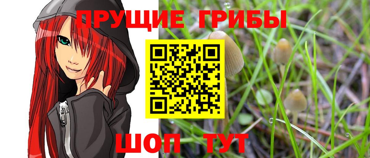 Асбест  даркнет сайт  Вход с VPN  Галлюциногенные грибы мухоморы 